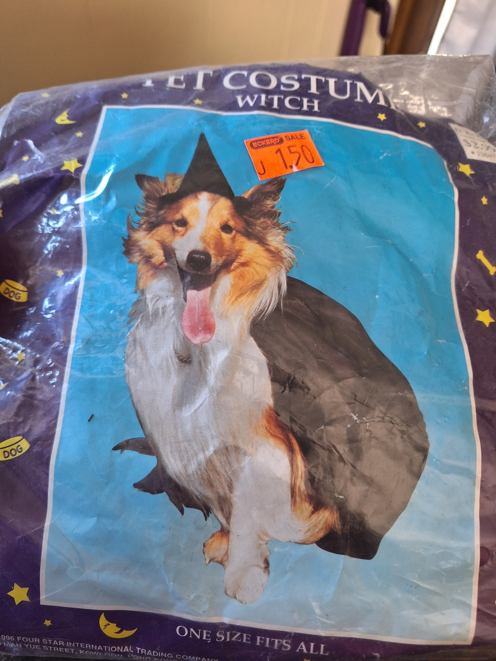 Witch Dog Costume - Black Cape and Hat